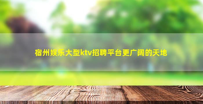 宿州娱乐大型ktv招聘平台更广阔的天地